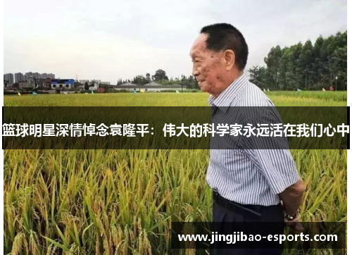 篮球明星深情悼念袁隆平：伟大的科学家永远活在我们心中