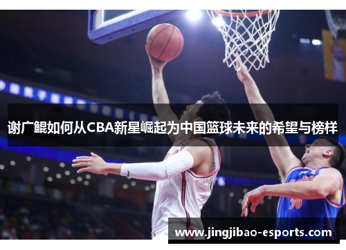 谢广鲲如何从CBA新星崛起为中国篮球未来的希望与榜样