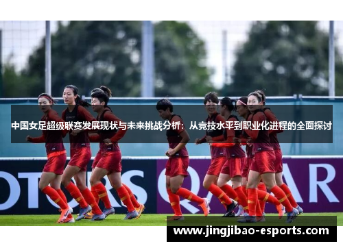 中国女足超级联赛发展现状与未来挑战分析：从竞技水平到职业化进程的全面探讨