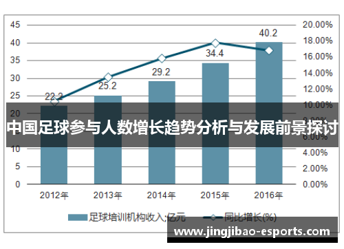 中国足球参与人数增长趋势分析与发展前景探讨